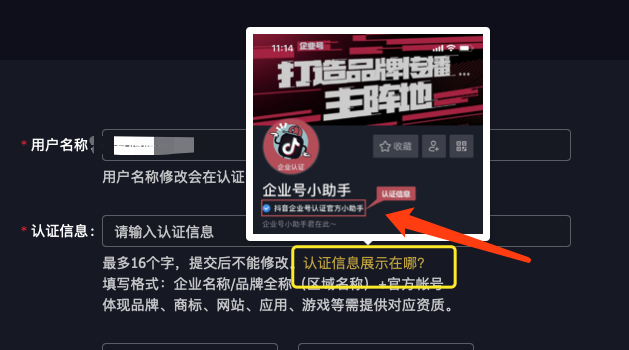 认证信息展示在哪.png